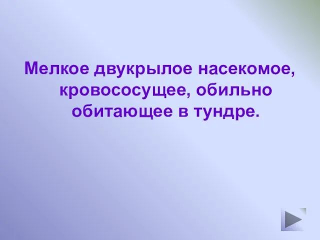 Мелкое двукрылое насекомое, кровососущее, обильно обитающее в тундре.