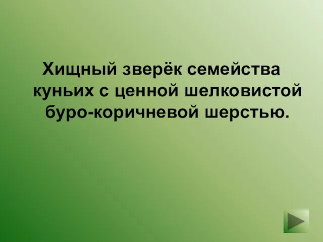 Хищный зверёк семейства куньих с ценной шелковистой буро-коричневой шерстью.