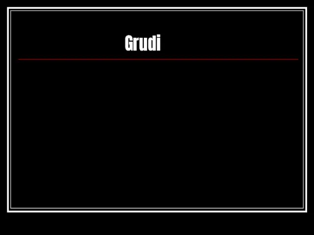 Grudi