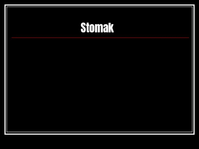 Stomak