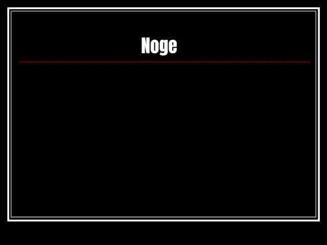 Noge