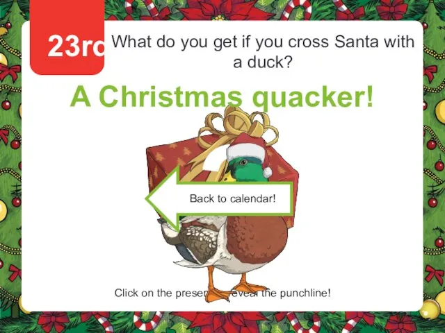 23rd What do you get if you cross Santa with a duck?