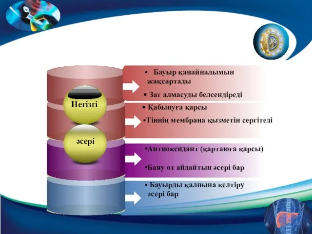 Қабынуға қарсы Тіннің мембрана қызметін сергітеді Антиоксидант (қартаюға қарсы) Баяу өт айдайтын