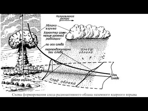 Схема формирования следа радиоактивного облака наземного ядерного взрыва
