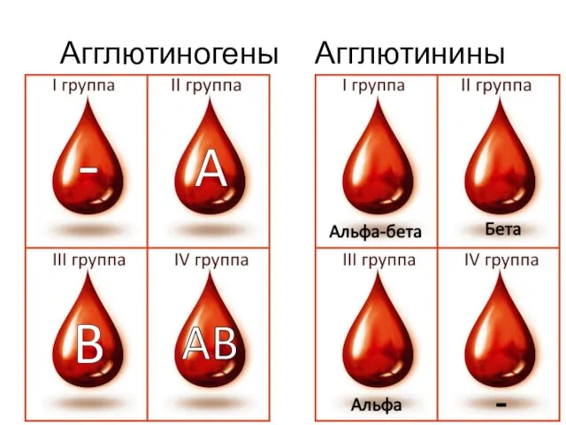 Агглютиногены Агглютинины