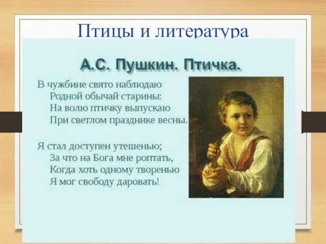 Птицы и литература