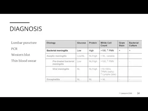 DIAGNOSIS Lumbar puncture PCR Western blot Thin blood swear 11 февраля 20XX