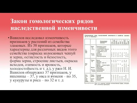 Закон гомологических рядов наследственной изменчивости Вавилов исследовал изменчивость признаков у растений из