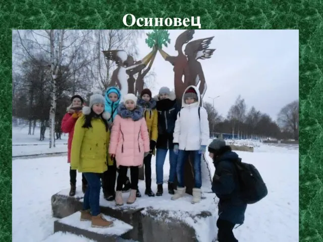 Осиновец