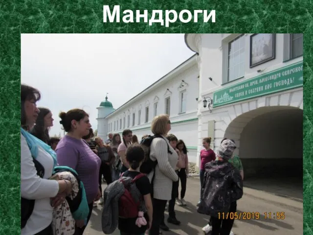 Мандроги