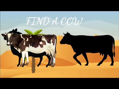 FIND A COW
