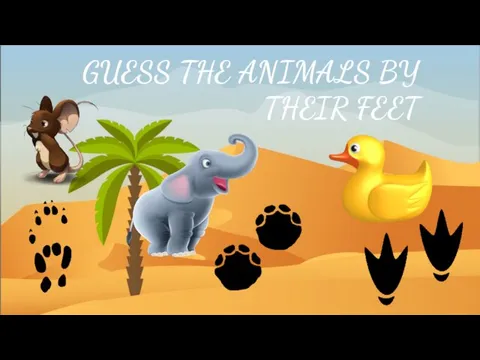 GUESS THE ANIMALS BY THEIR FEET