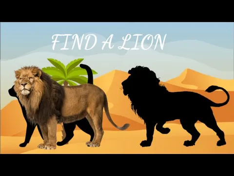 FIND A LION