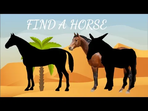 FIND A HORSE