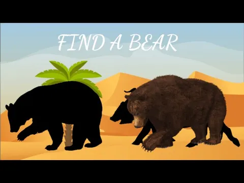 FIND A BEAR