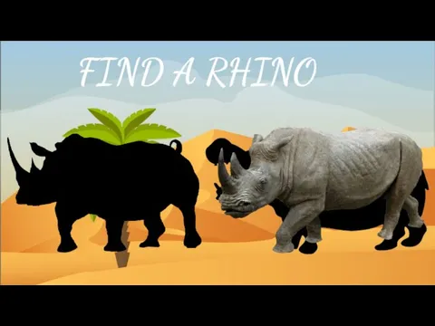 FIND A RHINO