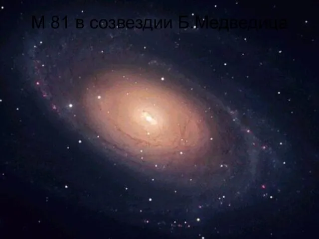 М 81 в созвездии Б.Медведица