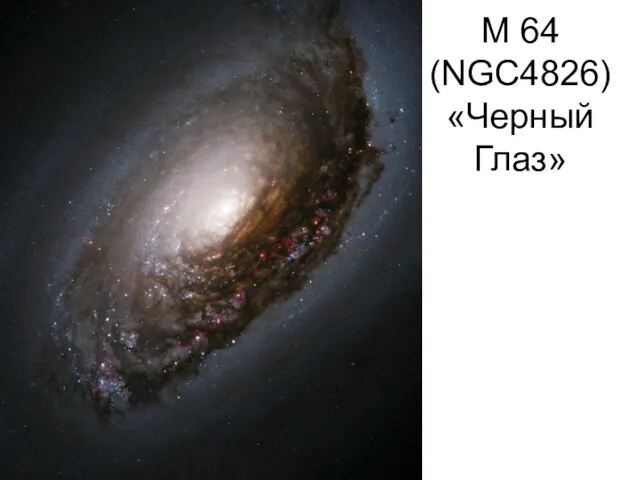 М 64 (NGC4826) «Черный Глаз»