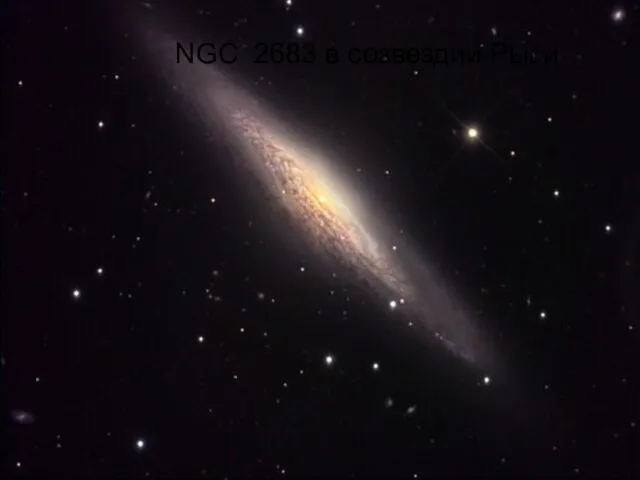 NGC 2683 в созвездии Рыси