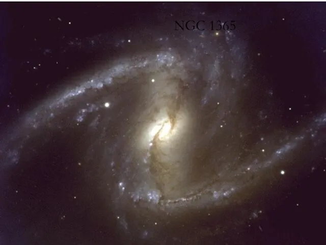 NGC 1365