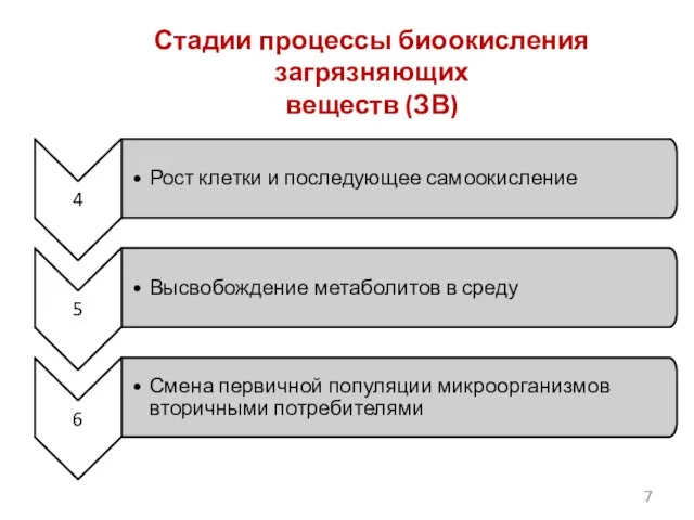 Стадии процессы биоокисления загрязняющих веществ (ЗВ)