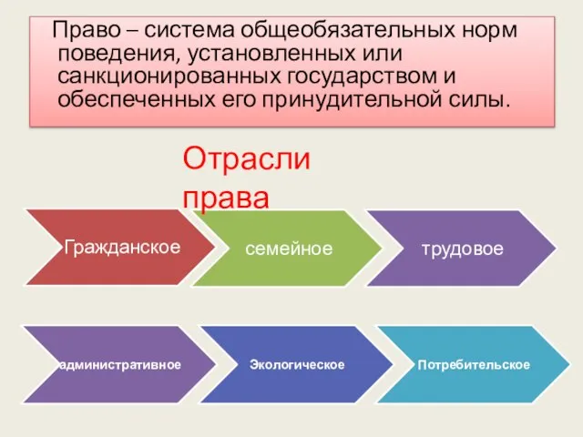 Право – система общеобязательных норм поведения, установленных или санкционированных государством и обеспеченных