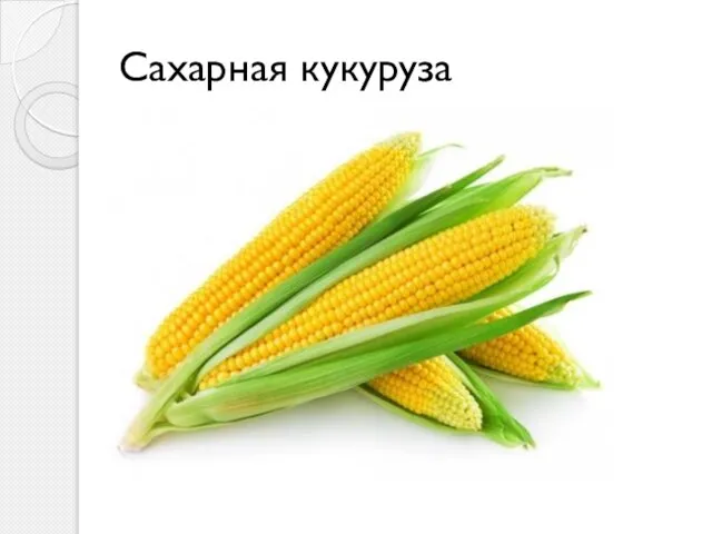 Сахарная кукуруза