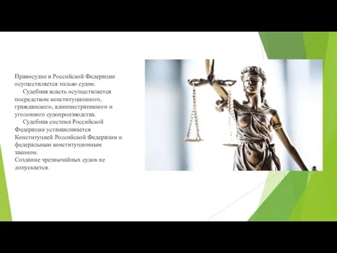 Правосудие в Российской Федерации осуществляется только судом. Судебная власть осуществляется посредством конституционного,