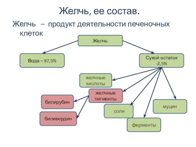 Желчь, ее состав. Желчь – продукт деятельности печеночных клеток Желчь Вода –