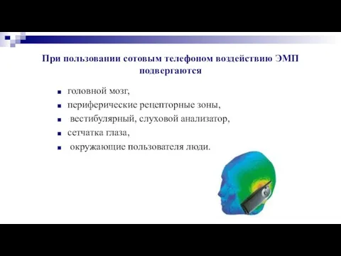 При пользовании сотовым телефоном воздействию ЭМП подвергаются головной мозг, периферические рецепторные зоны,