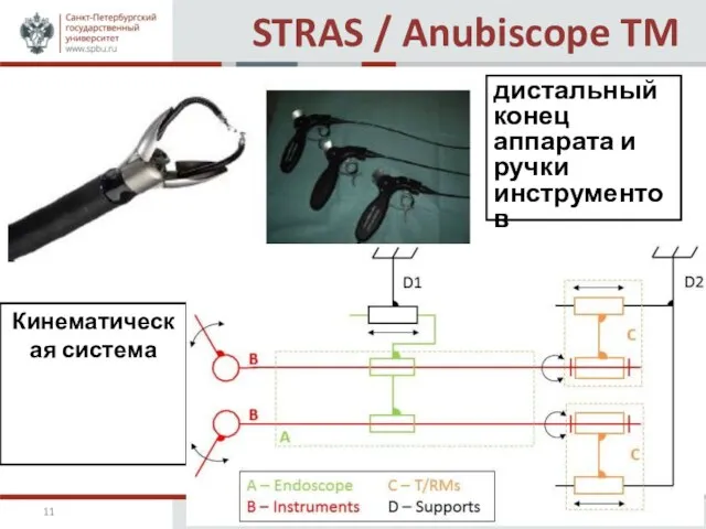 STRAS / Anubiscope TM дистальный конец аппарата и ручки инструментов Кинематическая система