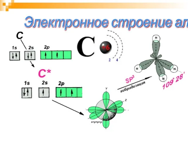 Электронное строение алканов