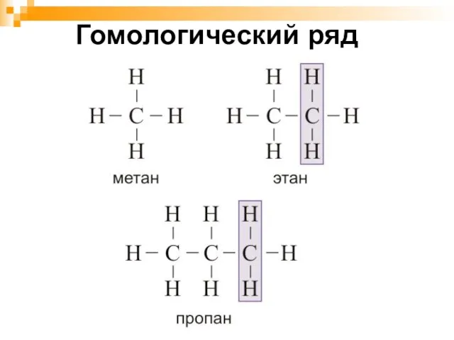 Гомологический ряд