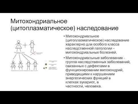 Митохондриальное (цитоплазматическое) наследование Митохондриальное (цитоплазматическое) наследование характерно для особого класса наследственной патологии