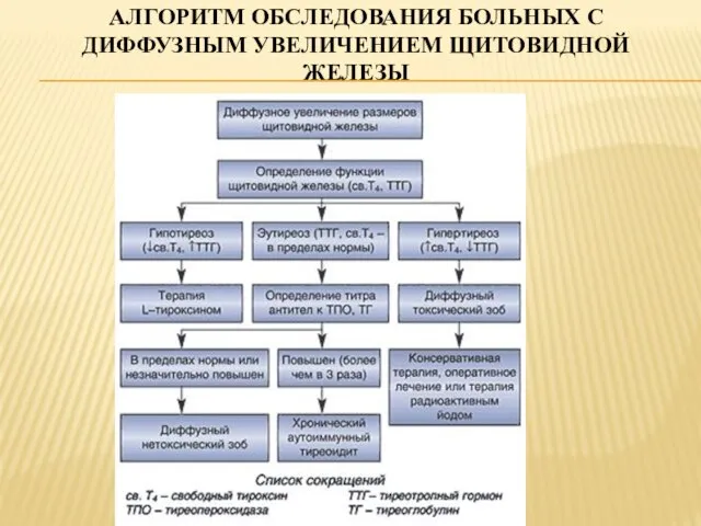 АЛГОРИТМ ОБСЛЕДОВАНИЯ БОЛЬНЫХ С ДИФФУЗНЫМ УВЕЛИЧЕНИЕМ ЩИТОВИДНОЙ ЖЕЛЕЗЫ