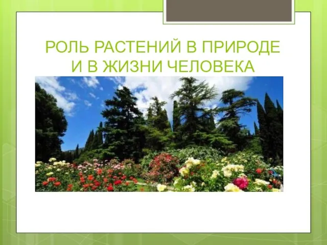 РОЛЬ РАСТЕНИЙ В ПРИРОДЕ И В ЖИЗНИ ЧЕЛОВЕКА