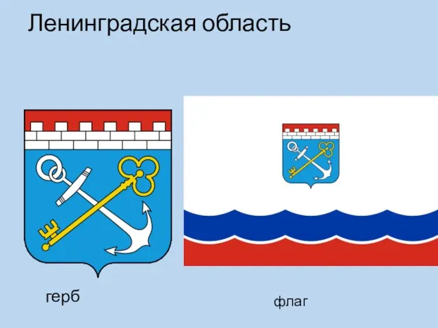 Ленинградская область герб флаг