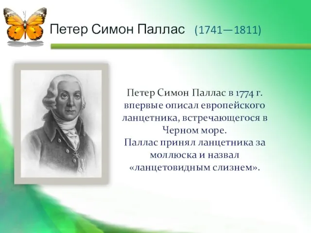 Петер Симон Паллас (1741—1811) Петер Симон Паллас в 1774 г. впервые описал