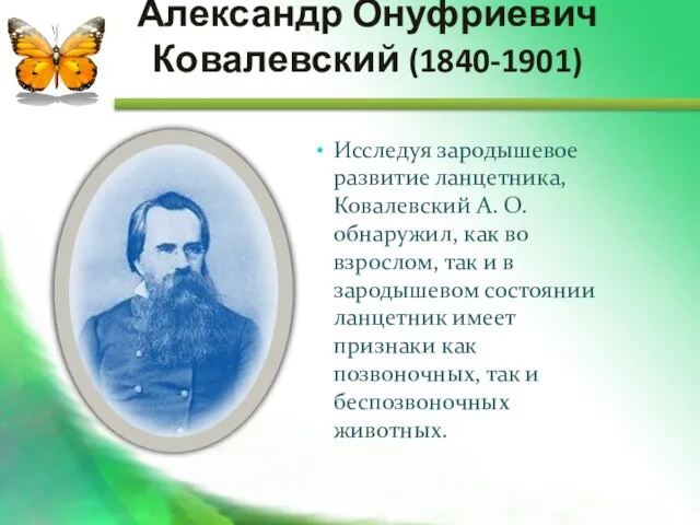 Александр Онуфриевич Ковалевский (1840-1901) Исследуя зародышевое развитие ланцетника, Ковалевский А. О. обнаружил,