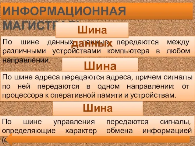 ИНФОРМАЦИОННАЯ МАГИСТРАЛЬ По шине данных данные передаются между различными устройствами компьютера в