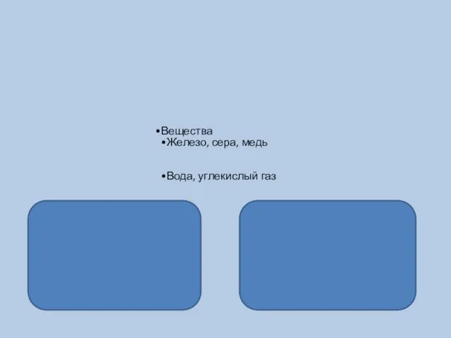 Вещества Железо, сера, медь Вода, углекислый газ