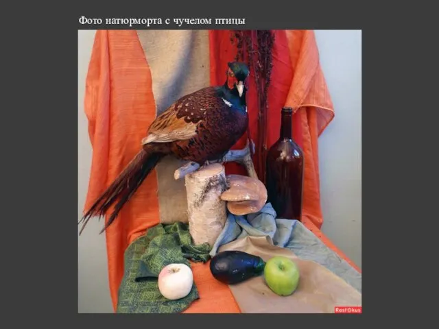 Фото натюрморта с чучелом птицы