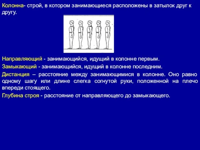 Колонна- строй, в котором занимающиеся расположены в затылок друг к другу. Направляющий