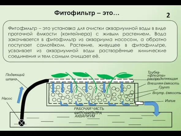 Фитофильтр – это установка для очистки аквариумной воды в виде проточной ёмкости