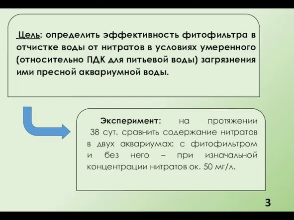 Цель: определить эффективность фитофильтра в отчистке воды от нитратов в условиях умеренного