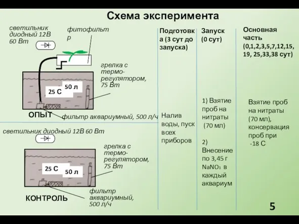 Схема эксперимента ОПЫТ КОНТРОЛЬ фитофильтр грелка с термо-регулятором, 75 Вт грелка с