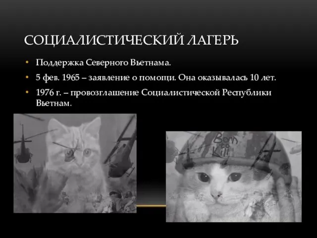 СОЦИАЛИСТИЧЕСКИЙ ЛАГЕРЬ Поддержка Северного Вьетнама. 5 фев. 1965 – заявление о помощи.