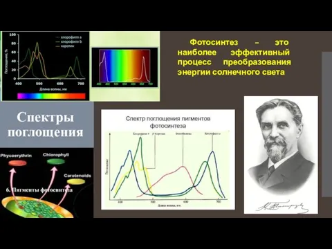 Спектры поглощения Фотосинтез – это наиболее эффективный процесс преобразования энергии солнечного света