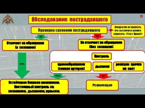 11 Обследование пострадавшего Проверка сознания пострадавшего Отвечает на обращение (в сознании) Не