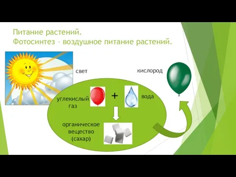 Питание растений. Фотосинтез – воздушное питание растений. + углекислый газ вода органическое вещество (сахар) кислород свет